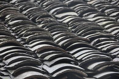 《宝可梦：朱＆紫》新增宝可梦桃歹郎故事背景公开