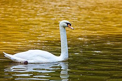 超级欢乐的节奏游戏《Samba de Amigo：摇摇乐派对》将于2023年夏季发售！