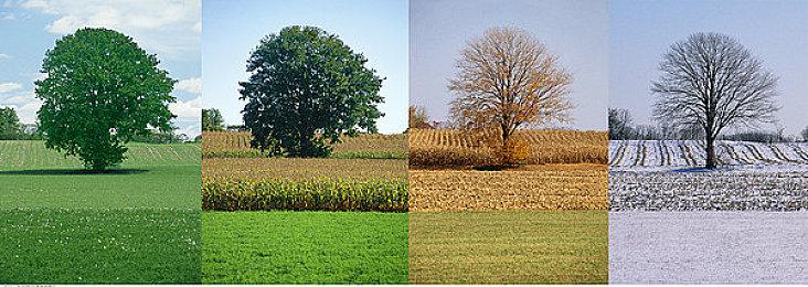 世界级AI科学家许主洪加盟阿里 出任集团副总裁